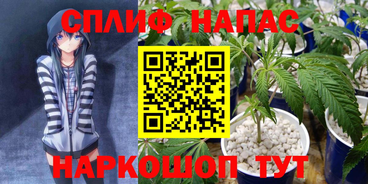 Бошки марихуана MAZAR  Вход с VPN  МАРИХУАНА план  Кингисепп 